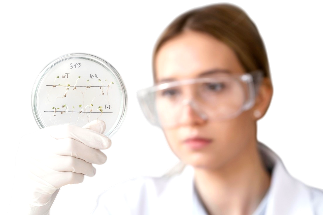 Анализ крови в Москве